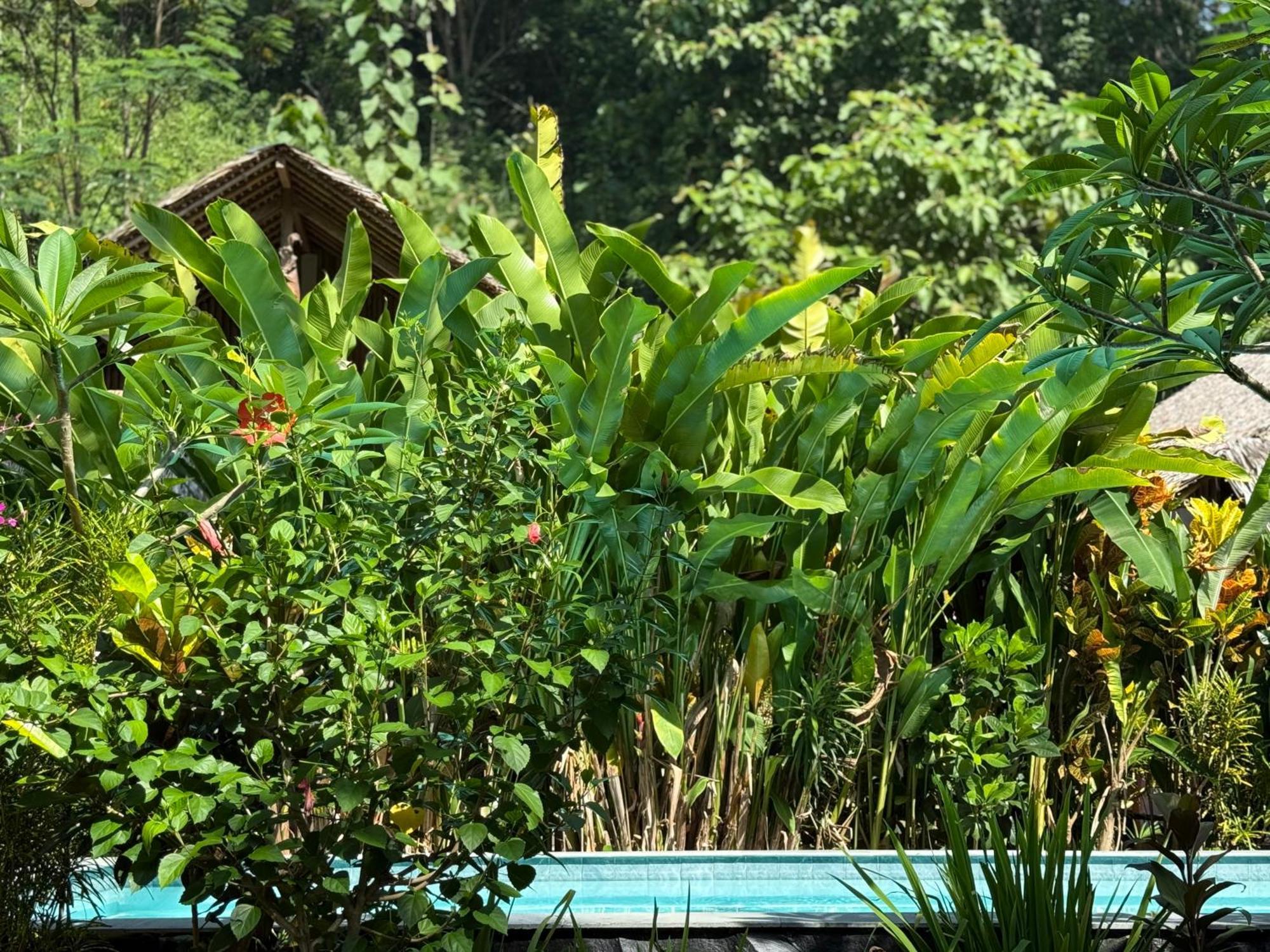 Rnv Eco Resort Bungalows Batukaras Экстерьер фото